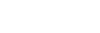 SFEIR Logo